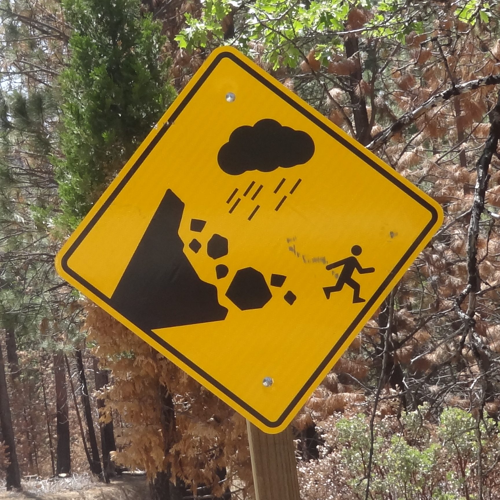 Sierra Mountain Shuttle